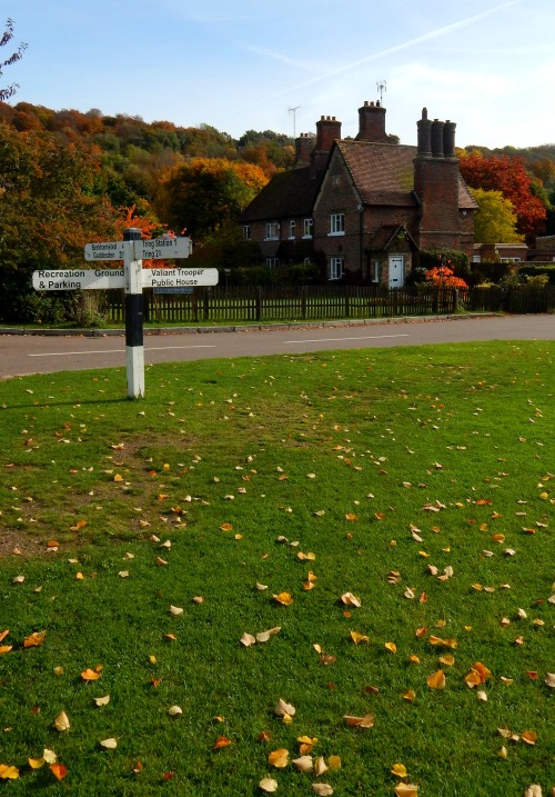 fuckitandmovetobritain:Aldbury, Hertfordshire, England, UK