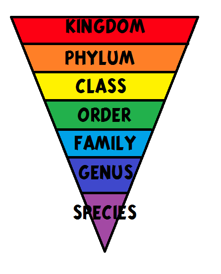 Daily Random Science Facts — Taxonomy And You 0685