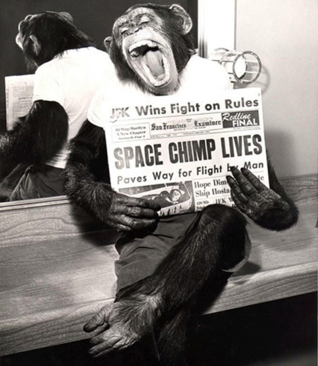 January 19th 1983: Ham the Chimp died On this day...