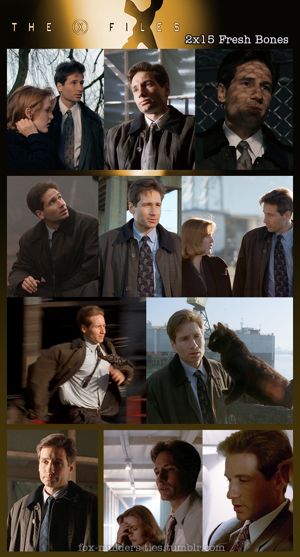 Fox Mulder S Tie Appreciation I Have To Thank The X Files Wiki