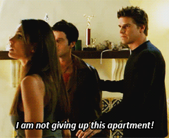 20andsomethinggirl:When you find a cheap apartment