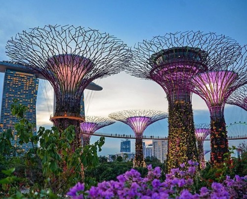 ultimate-passport:Supertree Grove - SingaporeSupertree Grove...