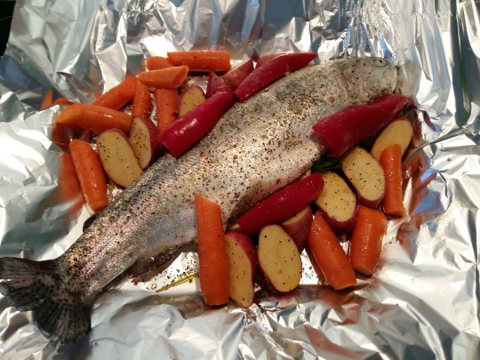 baked trout in foil with veg