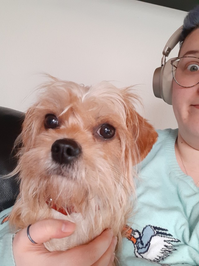 A picture of TP in the background pulling a funny face, a small sandy dog in the foreground, suspiciously looking at the viewer.