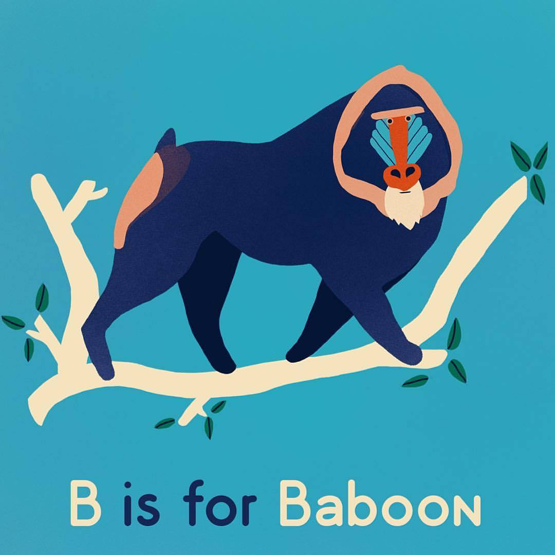 (B Is For Baboon. Part 2 Of Pollys Flash Cards. B...)