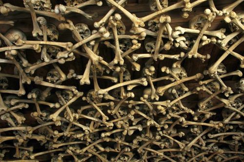 polandgallery:Photo Album: Skull Chapel, Czermna, Poland. The...