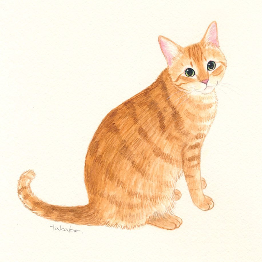 Takako Ide Illustration なにして遊ぼうか 本日の猫 猫
