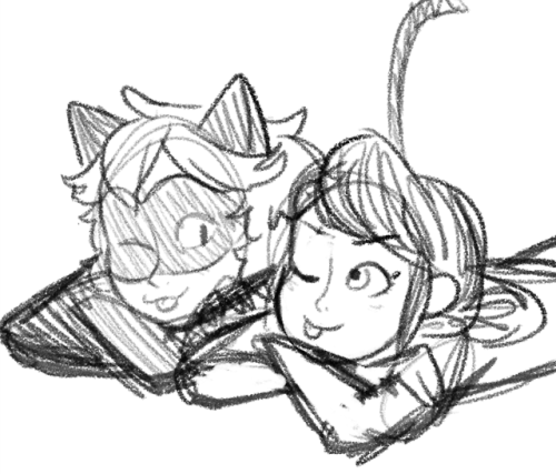 Idk How To Draw Cats Tumblr