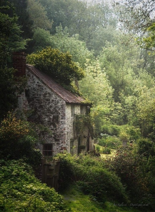 Stone Cottage On Tumblr