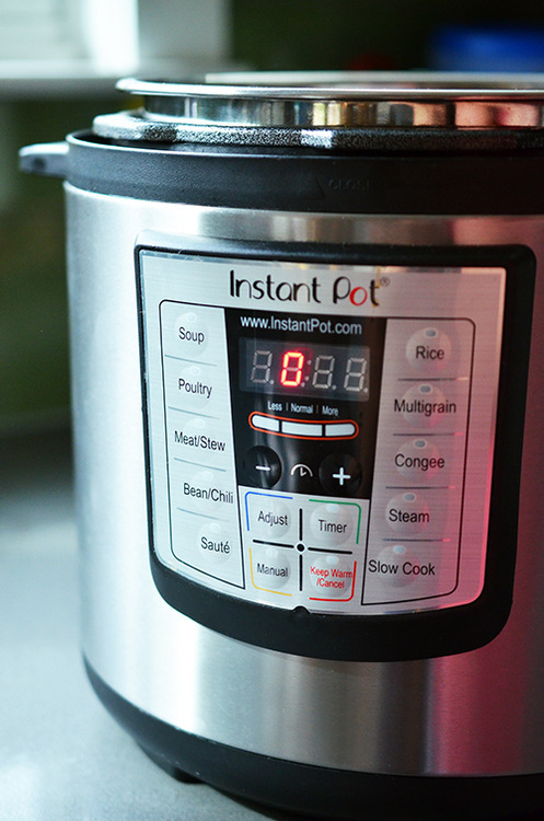 Pressure Cooker Mexican Beef Pressure Cooker Mexican Beef