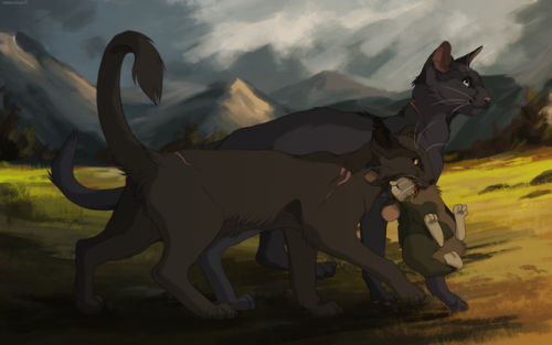 uneasywolf:crowfeather’s secretly proud of his son