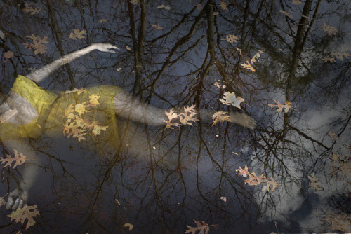 requiem-on-water: Lady of the Lake by Stephen Carroll...