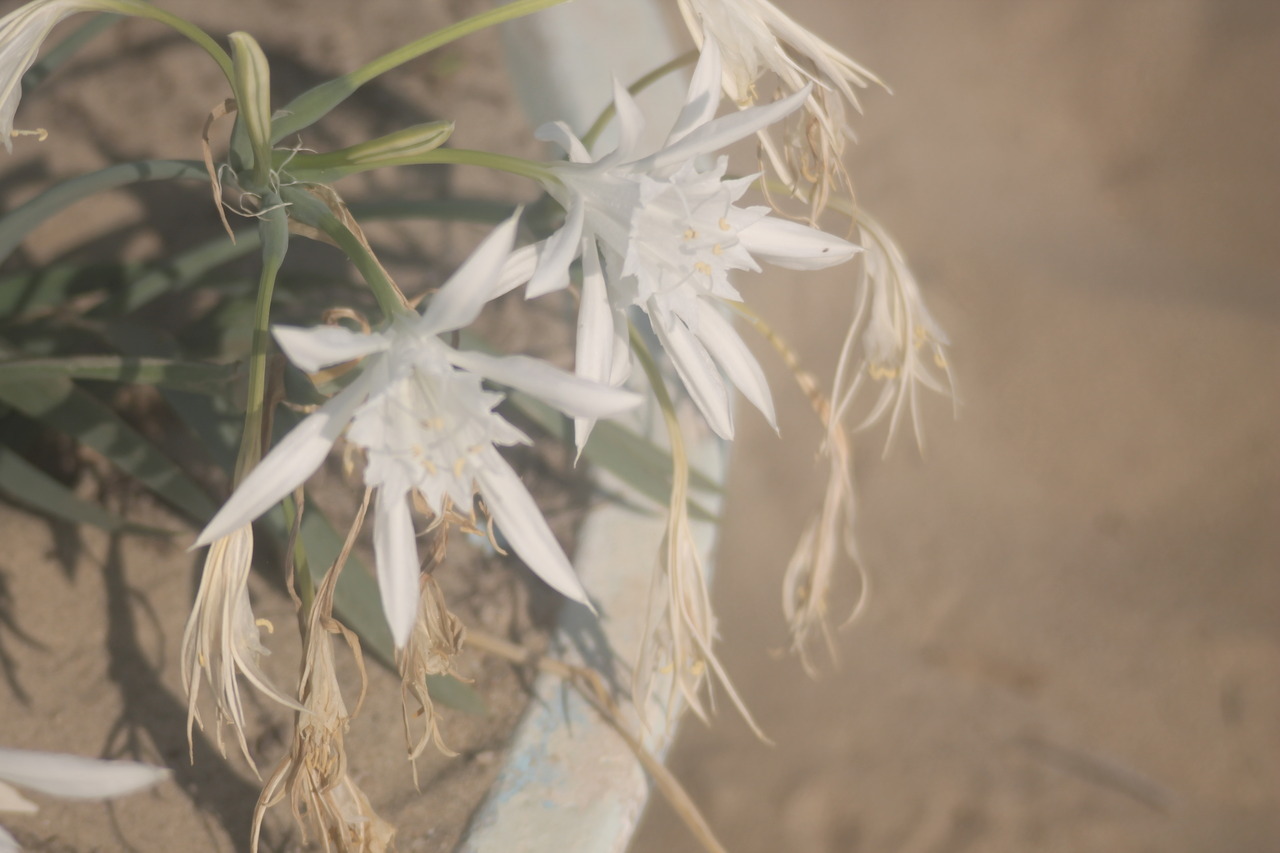 tumblr photo