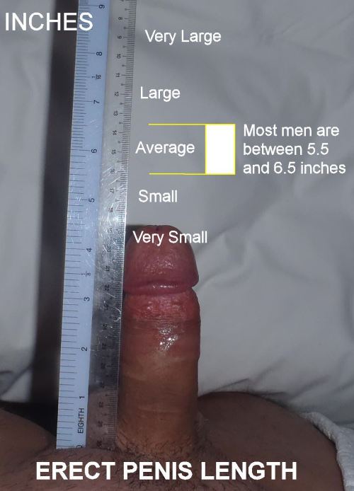 Measuring up for sex