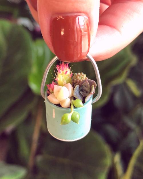 gardeninghub