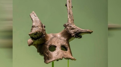 In 2018, archaeologists unearthed a bizarre discovery at Star Carr Mesolithic archaeological site around five miles south of Scarborough in North Yorkshire, England. Here, they discovered deer skulls with eye holes carved out daring back 11,000 years...