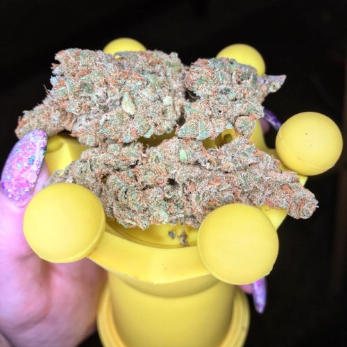 coralreefer420:Lemon Skunk on a yellow nail crown.Nice