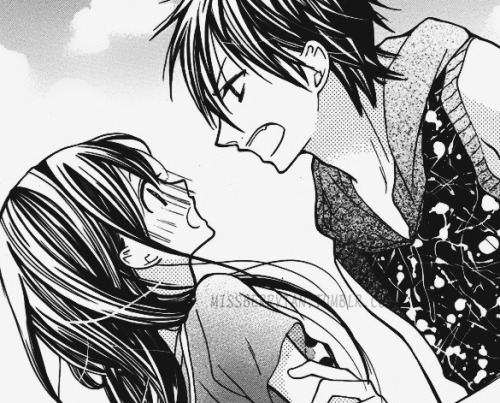 shoujo-himechii:MY TOP 10 SHOUJO MANGA•Vampire Knight...