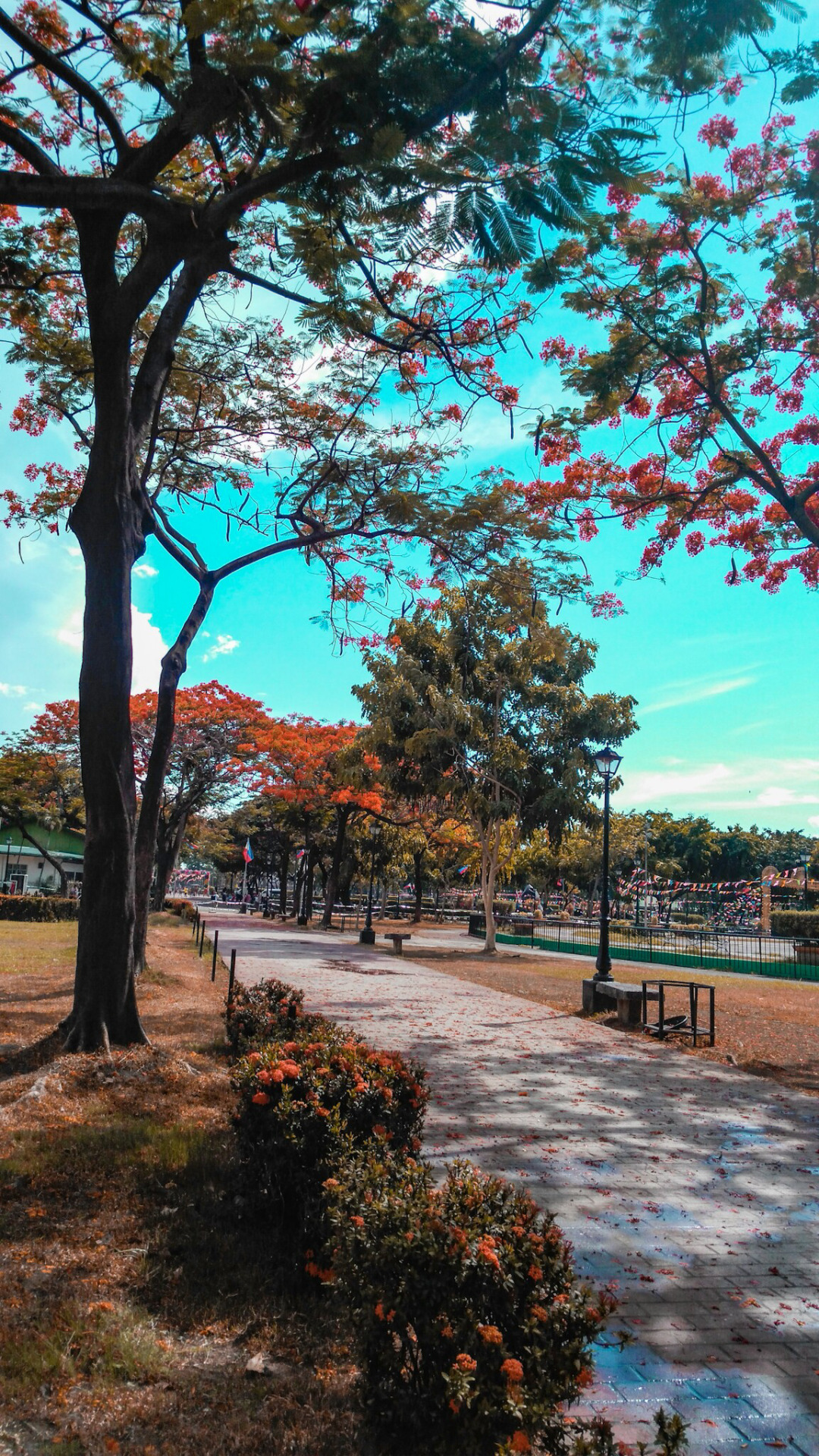 Background Taman GAMBAR BACKGROUND