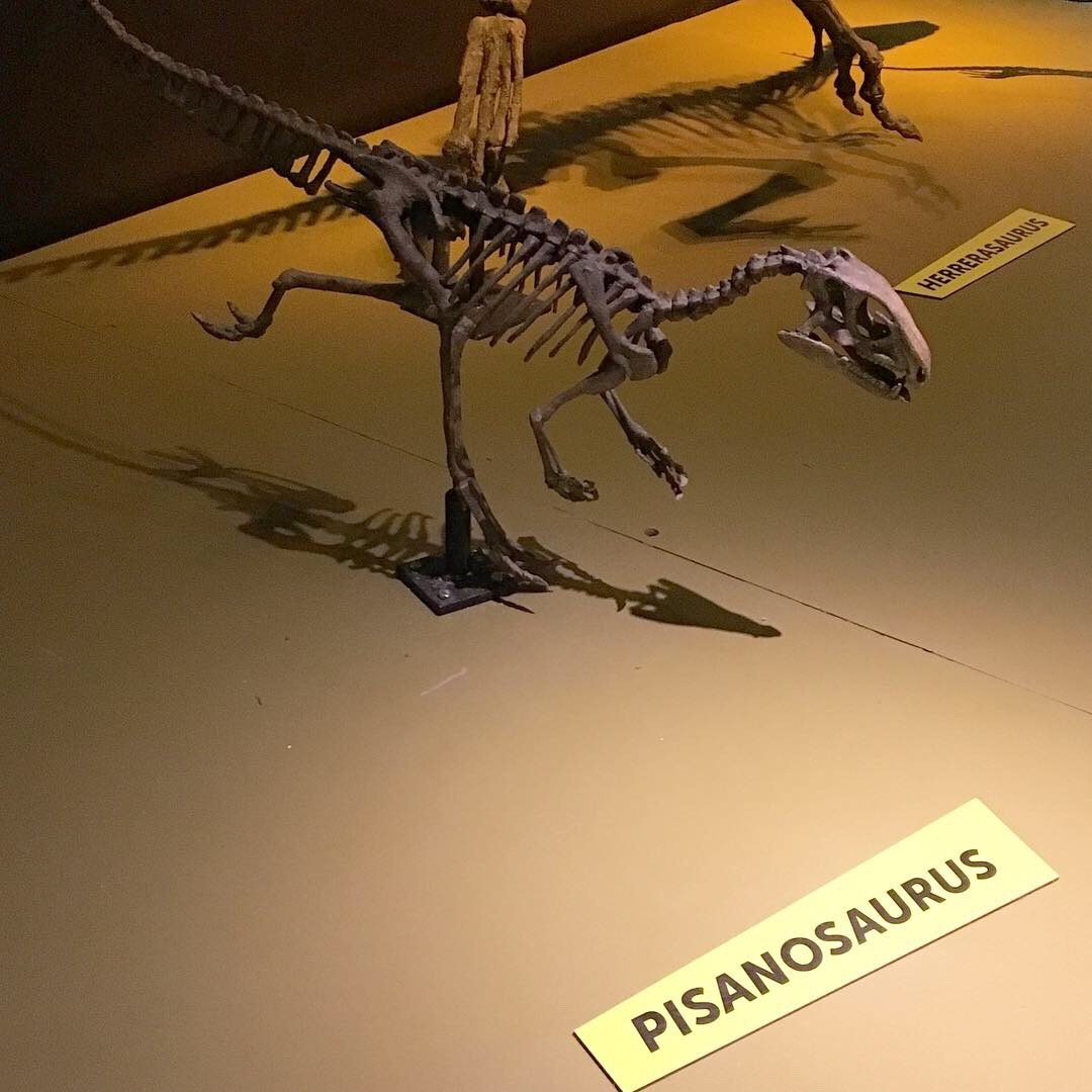 perot dinosaurs