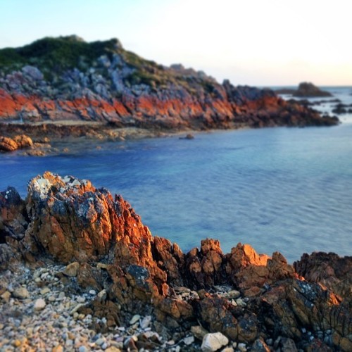 All around Tasmania’s coastline (we’re an island, remember) you’ll find not only stunning rock formations of all descriptions, but also a…