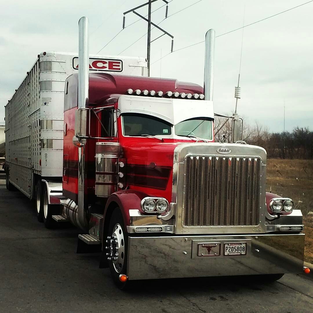 Semitrckn Peterbilt Custom 379 Bull Hauler