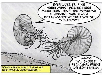 comic funny joke comicstrip octopus cephalopod haha humans squid nautilus