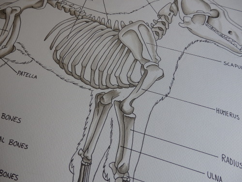 guroillustration