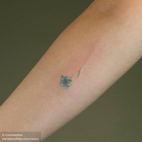 By Comotattoo, done in Seoul. http://ttoo.co/p/32849 flower;small;single needle;blue poppy;como;facebook;nature;twitter;inner forearm