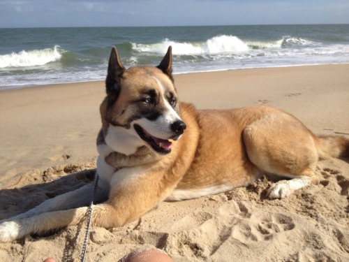 Nice fall day at the beach!