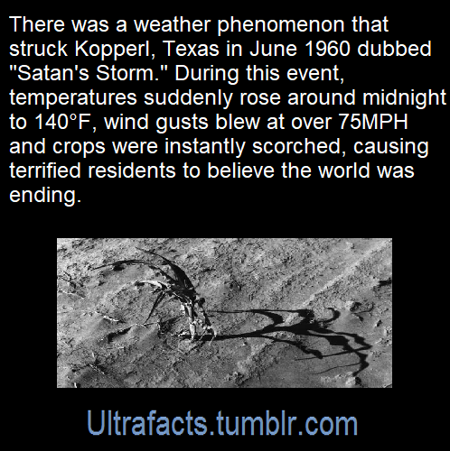 spacefaringviking:gravestpotato:mazamba:ultrafacts:The...