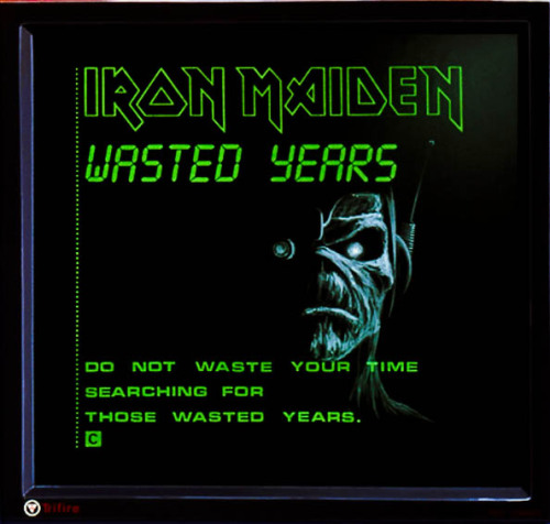 lyrics to song wasted years