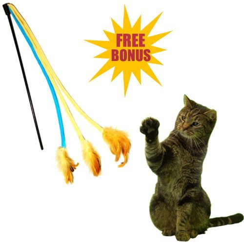 Interactive Cat Wand Feather Toy - Check this out here...