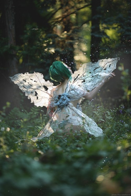 A Faerie's Heart Beats Fierce And Free