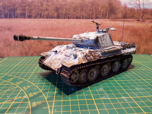 Winterwash a sure way to sell tankmodels!Sometimes I just buy to...