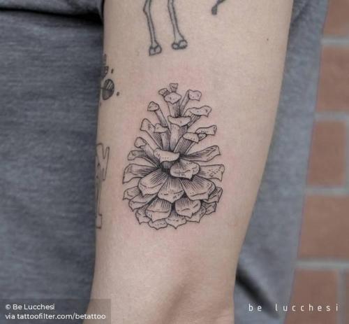 By Be Lucchesi, done in Berlin. http://ttoo.co/p/30857 fine line;betattoo;small;line art;pine cone;facebook;nature;blackwork;twitter;illustrative;upper arm