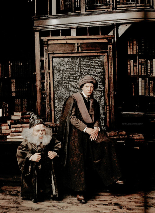 rowlinginthedepp:Hogwarts professors photographed by Annie...