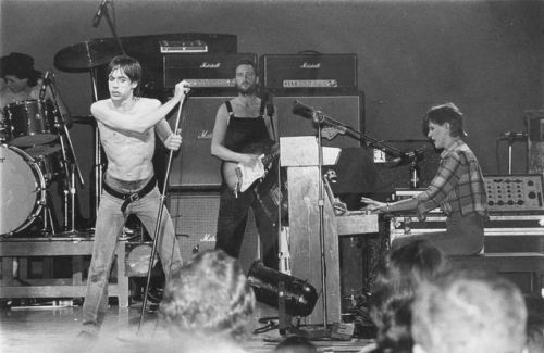 guerrilla0perat0r:IGGY POP AND DAVID BOWIE 