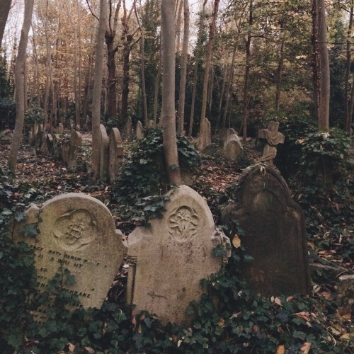 grave aesthetic tumblr