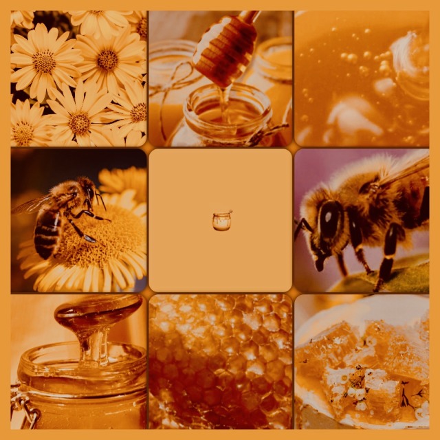 honey aesthetic on Tumblr