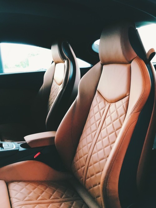 treunenthibault:Audi TT interior