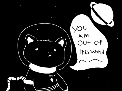 space cat on Tumblr