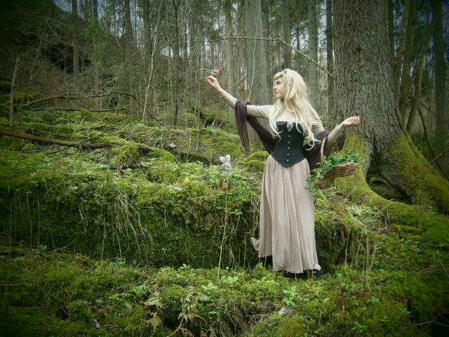 A Fairy Of The Norwegian Woods Briar Rose Princess Aurora