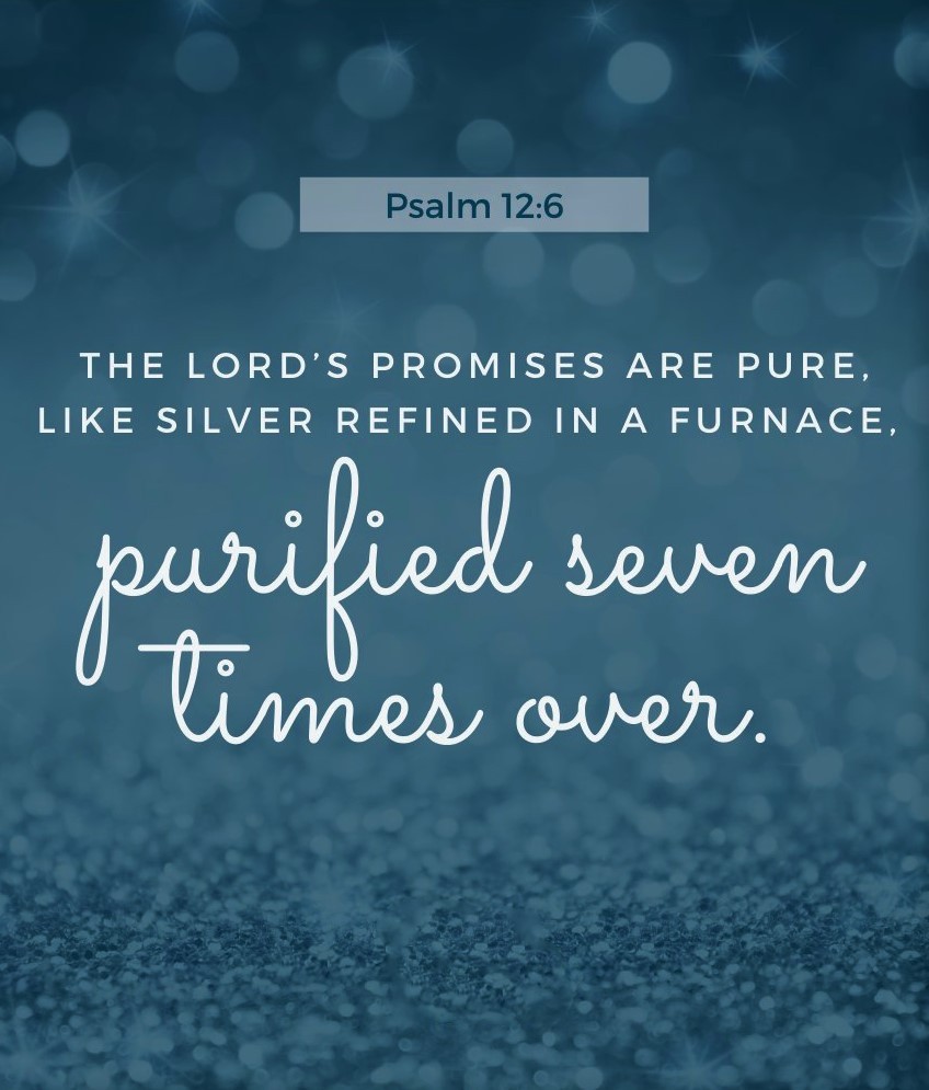 The Living... — Psalm 12:6 (NLT) - The LORD'S promises are pure, ...