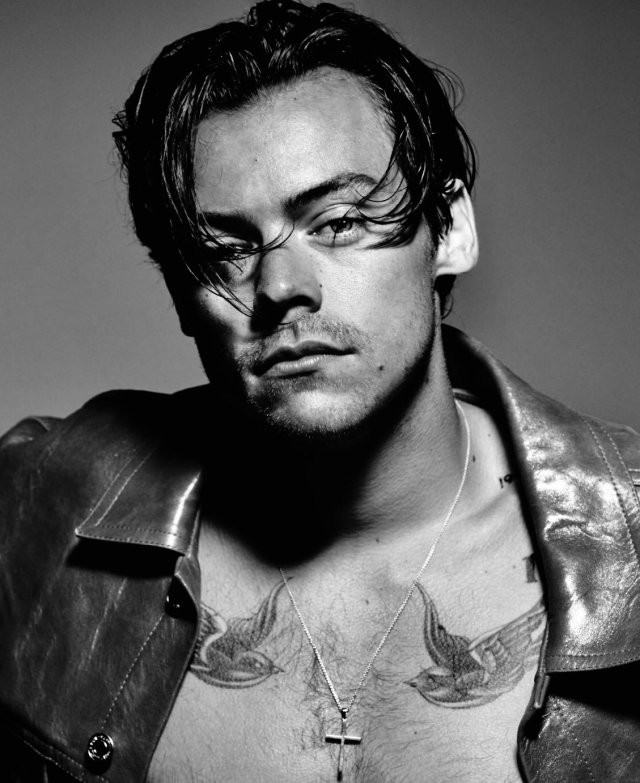 River Phoenix Harry Styles : Ривер Феникс (River Phoenix) 48 фото | ThePlace ... - On tuesday, august 24th 2021 as part of her tour harry styles will be playing at gila river arena, az.