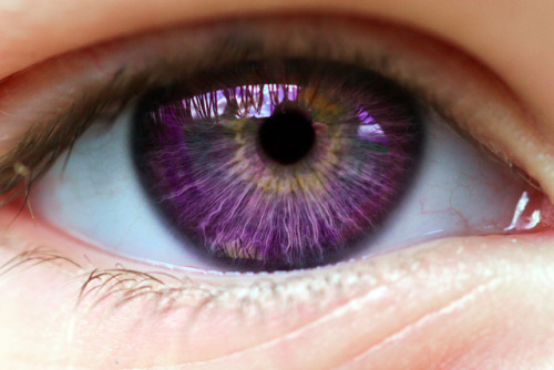 purple eye on Tumblr