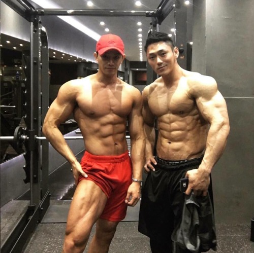 asianmusclebreeders:More photo