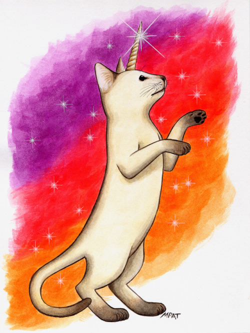 unicorn cat on Tumblr