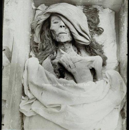 historicaltimes:The mummy of Queen Tyie , King Akhenaten’s...