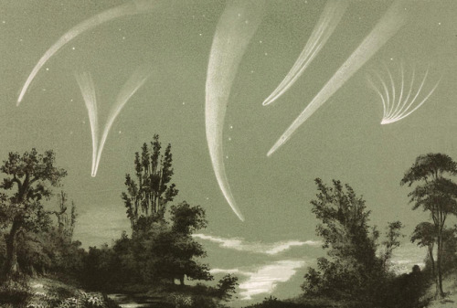 clawmarks:James Reynolds - Astronomical diagram. Comets -...